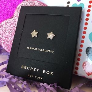 🆕 14 Karat Gold Dipped Star Earrings